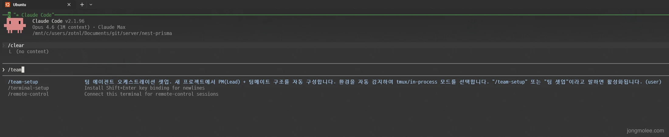 Claude Code에서 /team을 입력하면 team-setup 스킬이 자동완성으로 뜬다