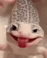 디버깅 중 원인 발견