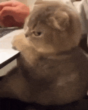 🧠 원인 1: allowedHeaders 누락 코드를 한 줄씩 따라가는 중