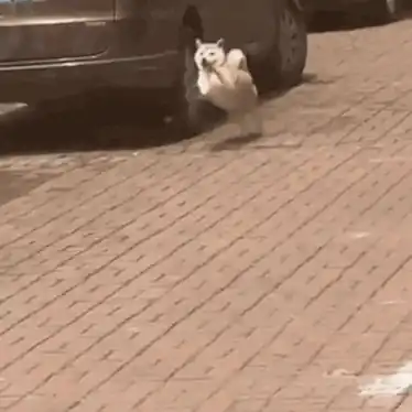 드디어 모든 테스트 통과한 순간