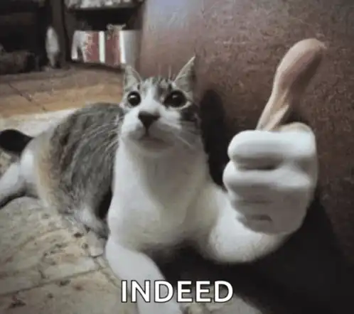 🛡️ 예방: 래퍼 구조를 팀/프로젝트 표준으로 재발 방지를 위한 안전장치