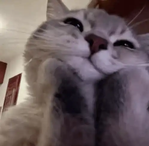 내 코드에서 버그 발견했을 때 멘붕