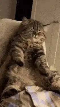 🛡️ 예방 — 스크롤 애니메이션 체크리스트 재발 방지를 위한 안전장치