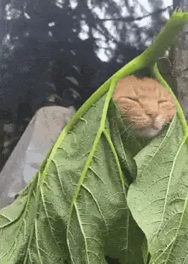 버그를 숨기고 퇴근한 과거의 나